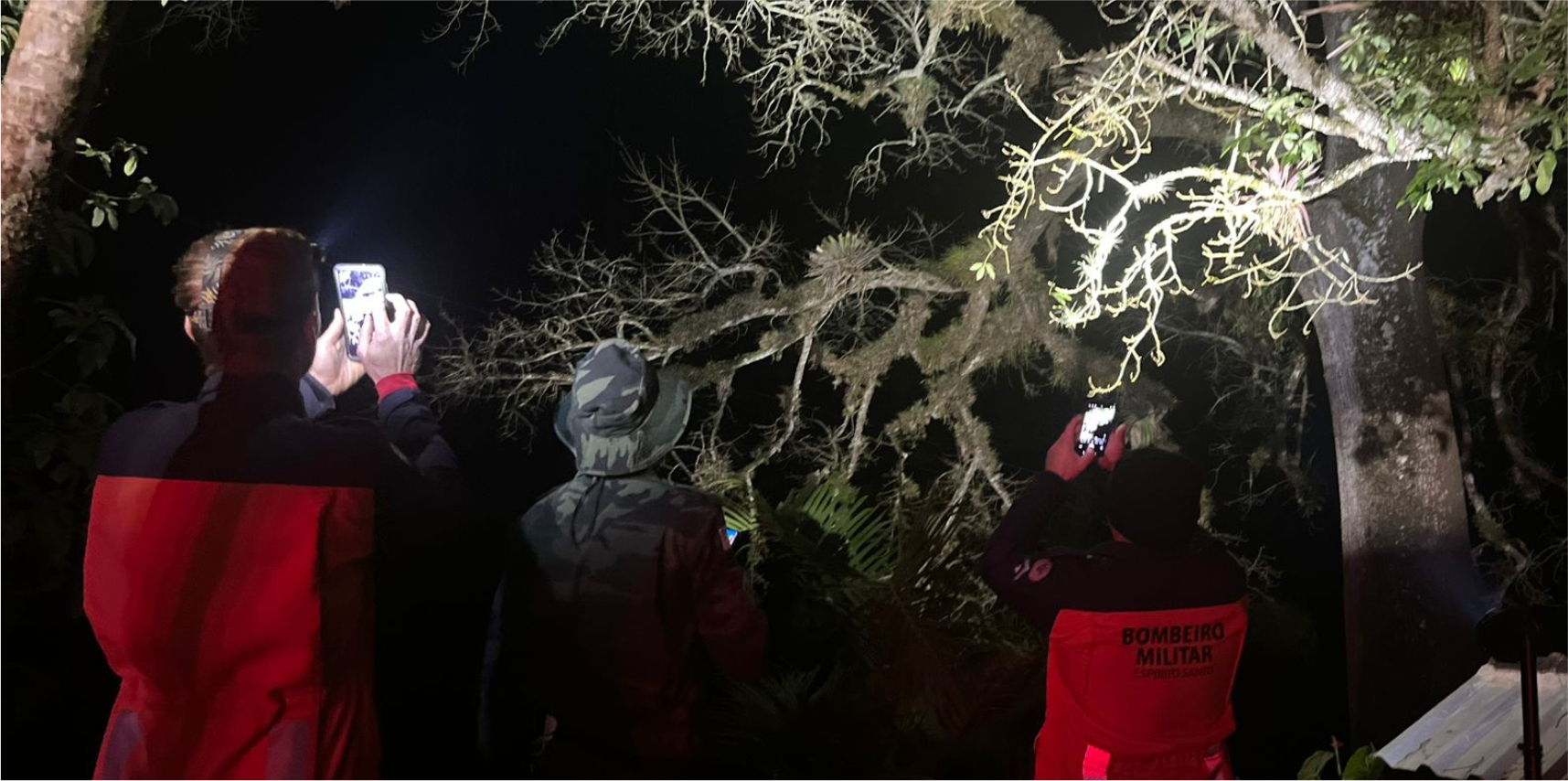 Imagem da notícia: Ação conjunta é realizada para controle de colmeia agressiva em Ipêaçu